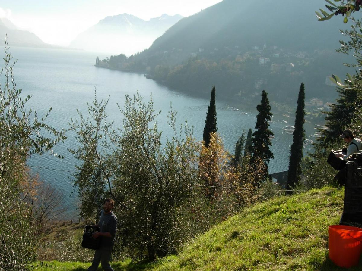 casa indipendente "IL SOLE DELLE GRIGNE" Bellagio Exterior foto